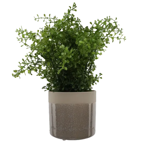 Artificial Wild Clover Bush In Beige Ceramic Pot