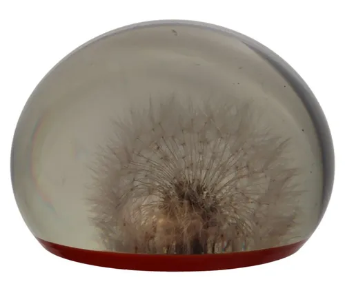Acrylic Paperweight With Dandelion & Red Base
