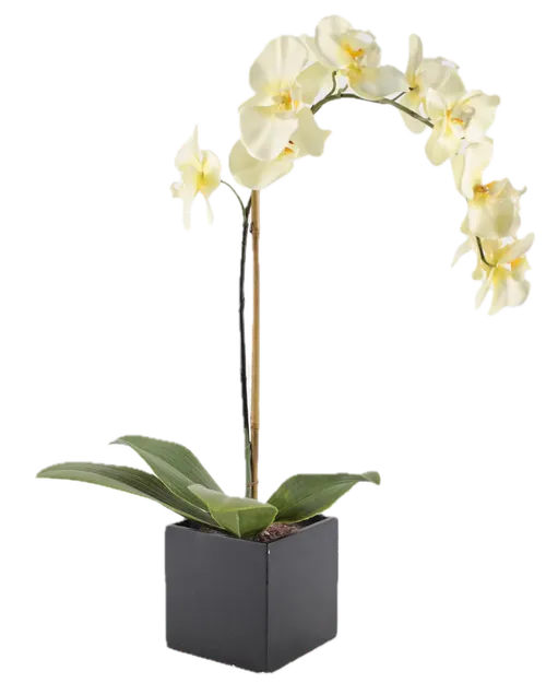 Artificial Yellow Orchid In Black Square Ceramic Pot
