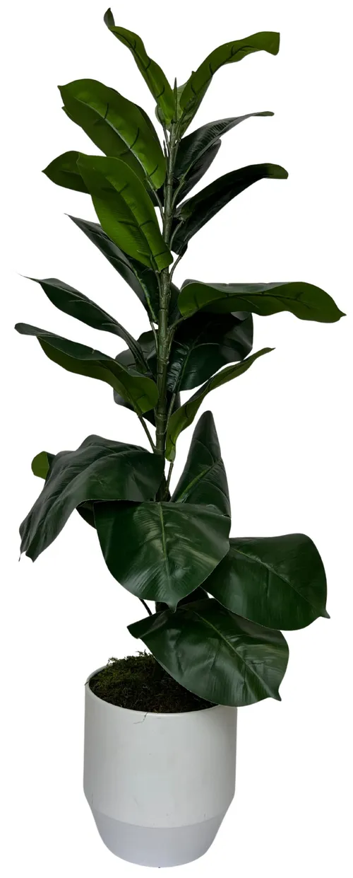 Artificial Fiddle Leaf Fig Tree In White Pot