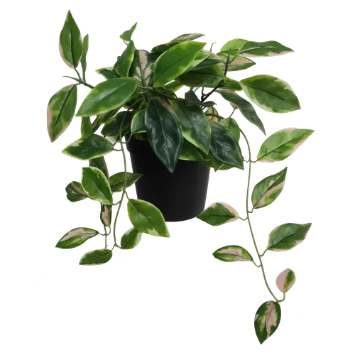 Artificial Golden Pathos Plant In Matte Black Pot