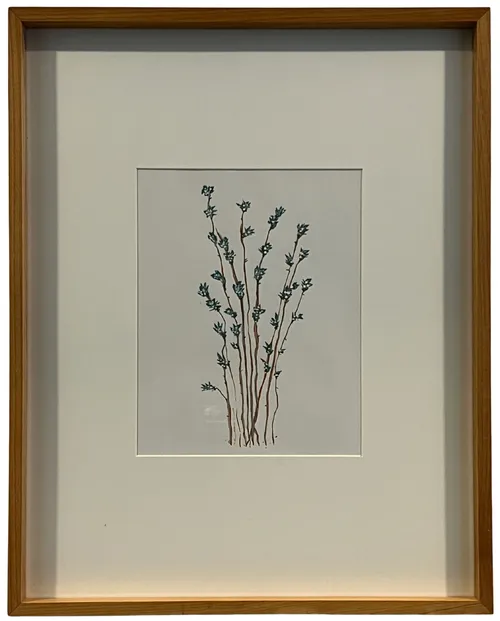 Botanical Watercolour In Wood Frame