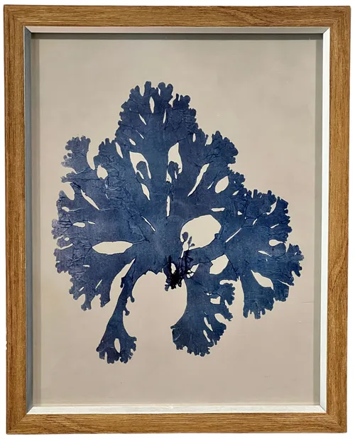 Blue Indigo Seaweed IV In Wood Frame