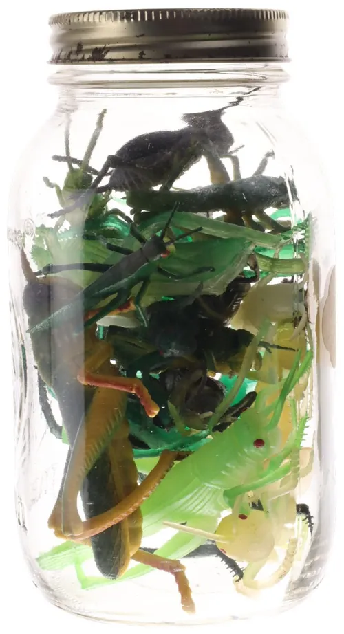 Clear Glass Jar With Rubber Grasshopper's