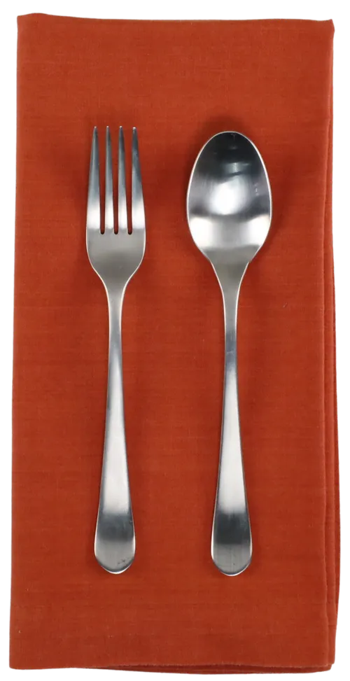 Orange Rust Napkin