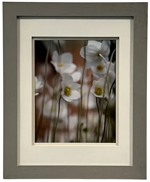 White Garden Flowers Photograph In Grey Wood Frame