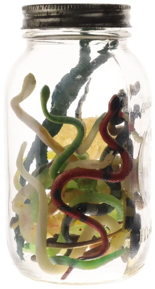 Clear Glass Jar With Rubber Snakes