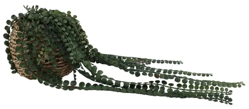 Artificial Fern In Woven Pot