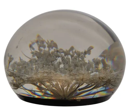 Acrylic Paperweight With Queen Anne's Lace