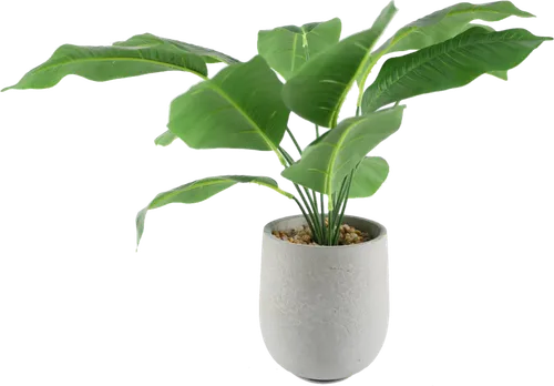 Artificial Octopus Tree In Grey Ceramic Pot