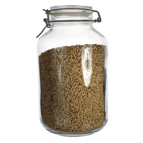 Large Glass Canister With Barley