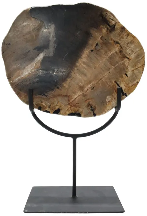 Petrified Wood Slice On Black Metal Stand