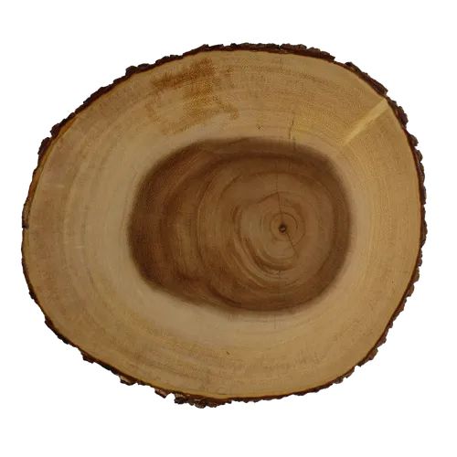 Medium Live Edge Rings Round Cutting Board