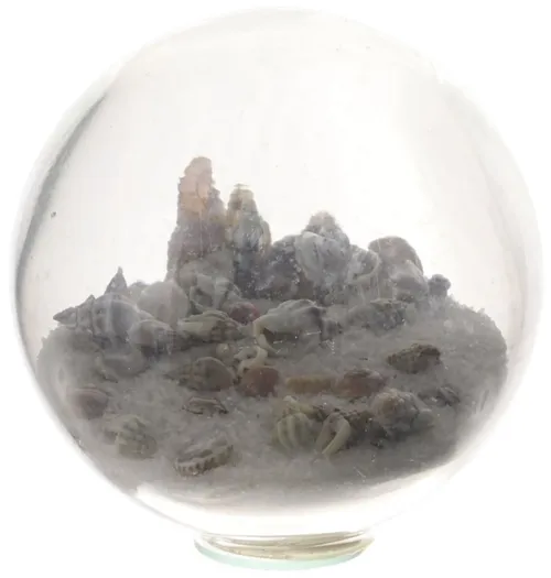 Glass Ball Paperweight With Ocean Sand & Shells