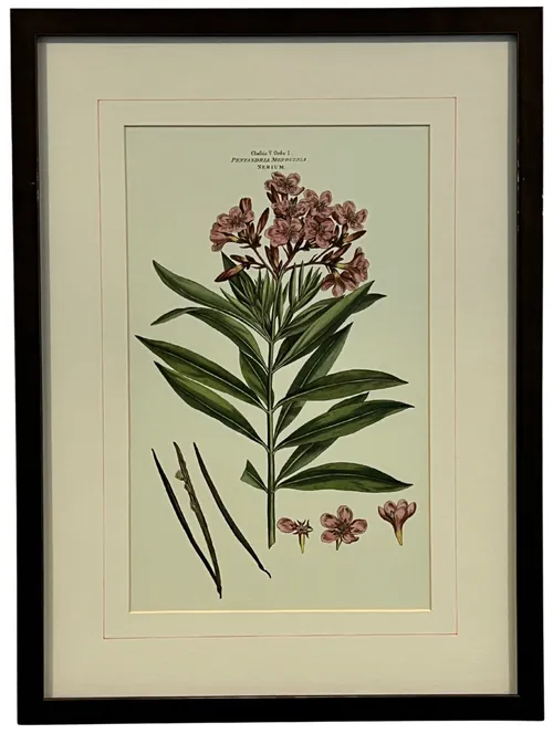 Pink Floral Illustration In Copper Frame