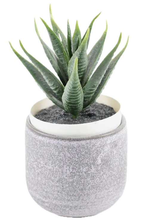 Artificial Haworthias Succulent In Grey Speckled Concrete Pot