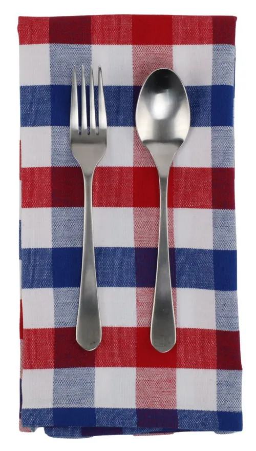 Blue & White & Red Gingham Napkin