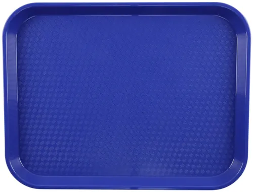 Blue Plastic Food Service Tray