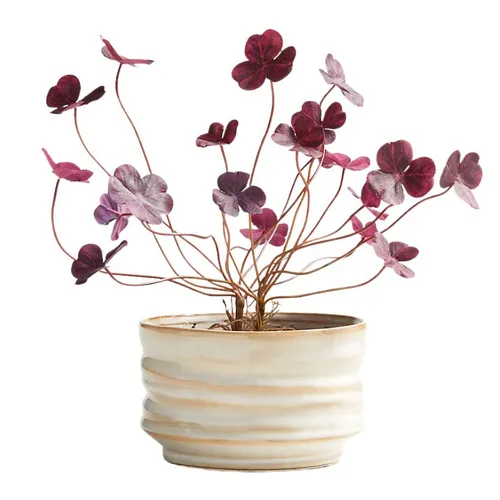 Artificial Red Clover In Beige Ceramic Pot