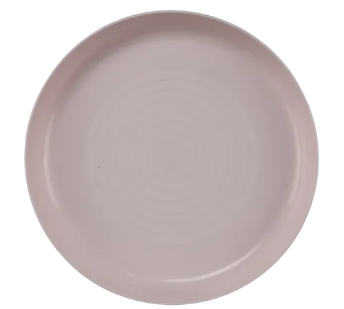 Pink Plastic Plate
