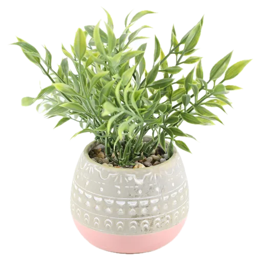 Artificial Butcher's Broom Plant In Aztec Grey & Pink Pot