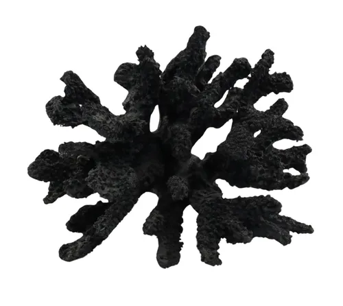 Black Coral