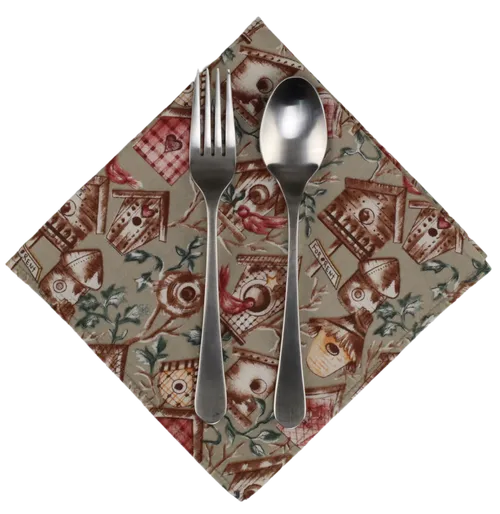 Sage With Brown & Red Bird Houses Pattern Napkin