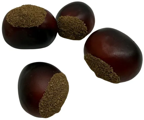Artificial Chestnut Nut