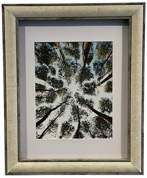 Tree Escape In Silver Frame