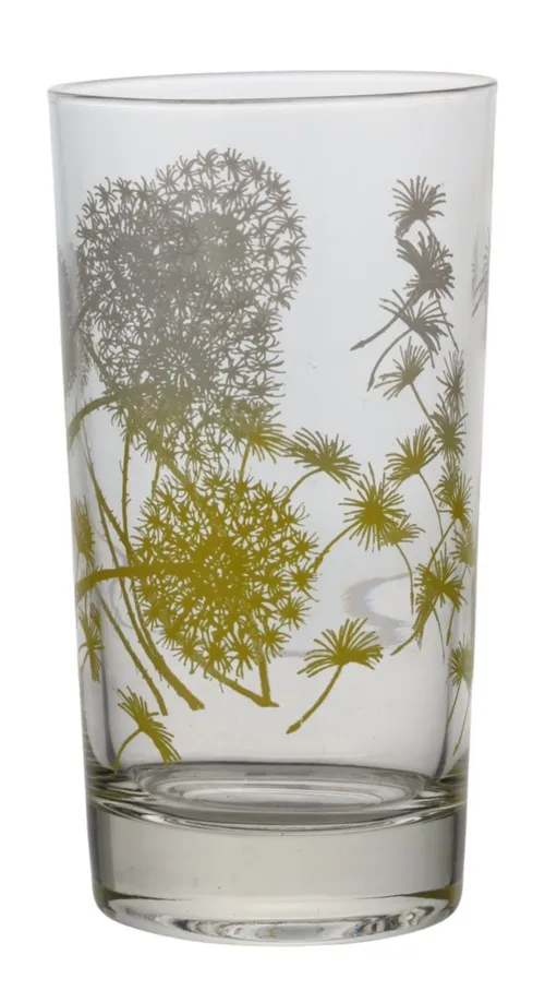 Clear Glass Drinking Glass With Dandelion Pattern