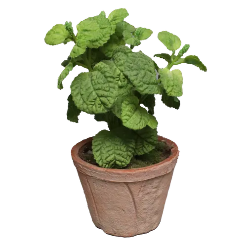 Artificial Mint Plant In Terra Cotta Pot