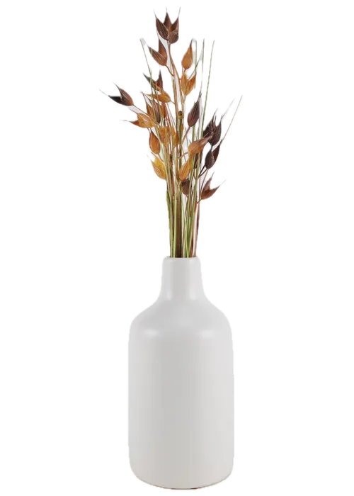Dried Sorghum In Matte White Ceramic Vase