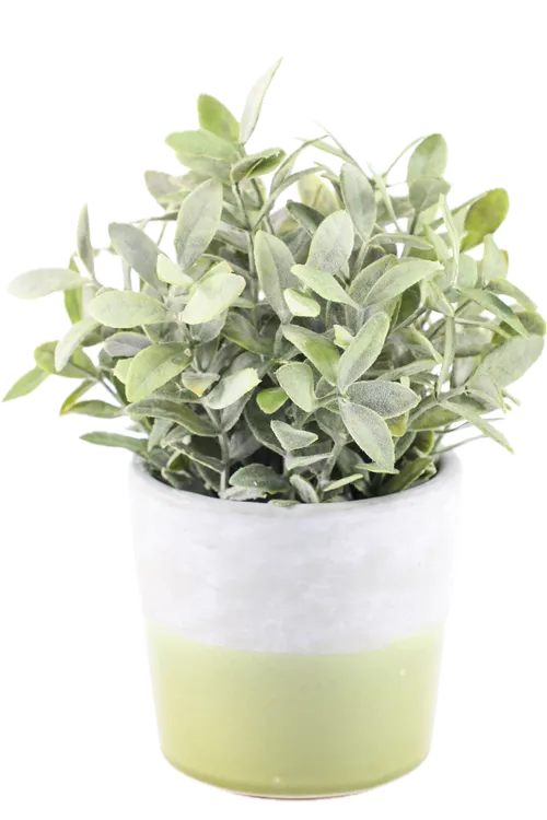 Artificial Common Sage In Grey & Green Ceramic Pot