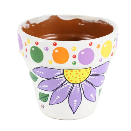Painted Flowers & Bubbles Terra-cotta Plant Pot