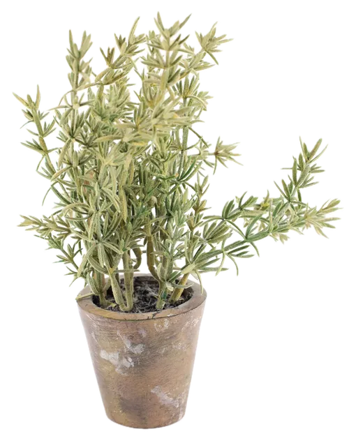 Artificial Rosemary In Aged Bronze Pot