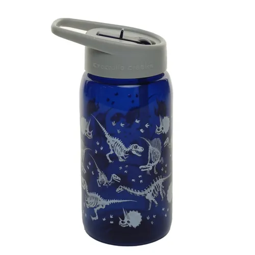 Blue Plastic Water Bottle With Dinosaurs