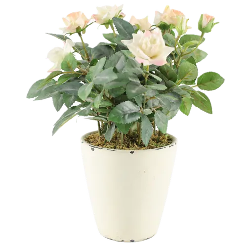 Artificial Pale Pink Mini Roses In Rustic Cream Ceramic Pot