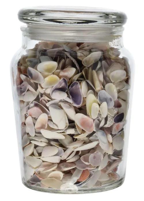 Clear Glass Canister With Lid Containing Colourful Seashells