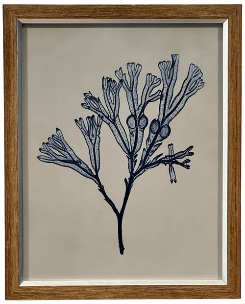 Blue Indigo Seaweed V In Wood Frame
