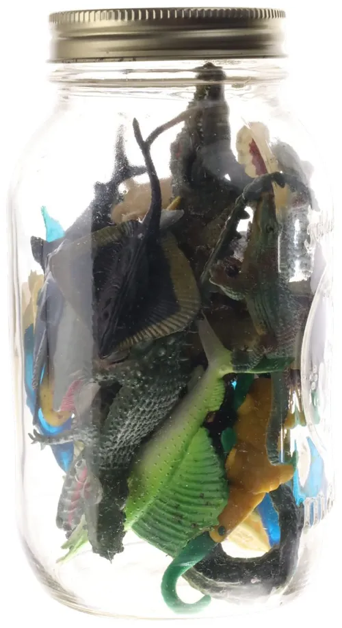 Clear Glass Jar With Rubber Crocodile's
