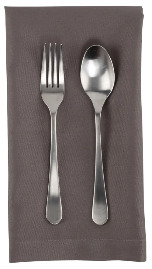 Fossil Grey Napkin