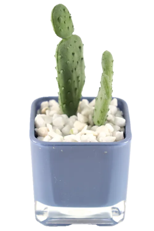 Artificial Eastern Prickly Pear Cacti In Blue Glass Pot