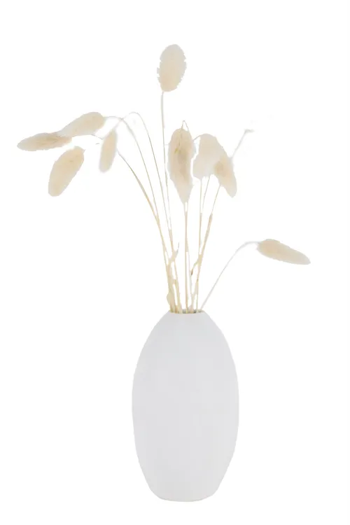 Hare's Tail Grass In Matte White Long Egg Vase