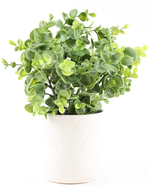Artificial Natal Plum Plant In White Diamond Textured Ceramic Pot
