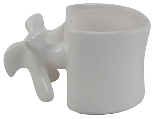 White Doctor Spine Ceramic Mug