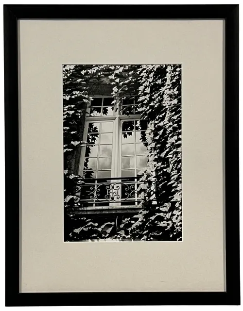 Window With Ivy Black & White Photograph In Black Frame