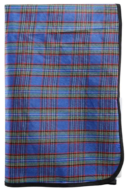 Blue Plaid Waterproof Nylon Picnic Blanket