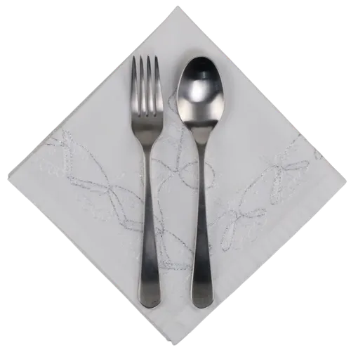 White With White & Silver Embroidered Border Napkin