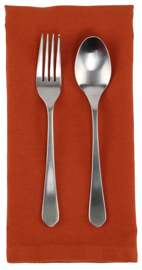 Burnt Orange Napkin