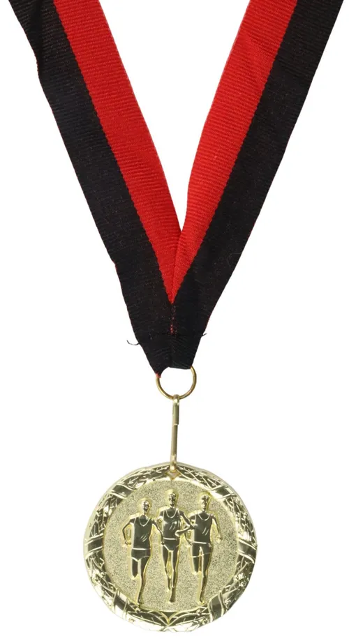 Award Medal On Ribbon - EE